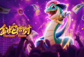 星空全站免费版