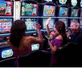 星空全站客户端