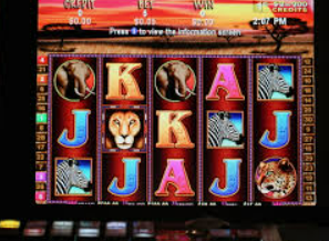 星空全站手机版