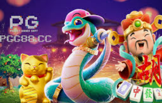 星空全站免费版