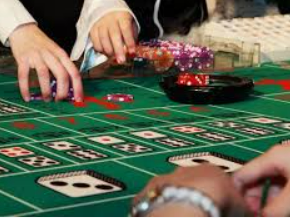 星空全站客户端